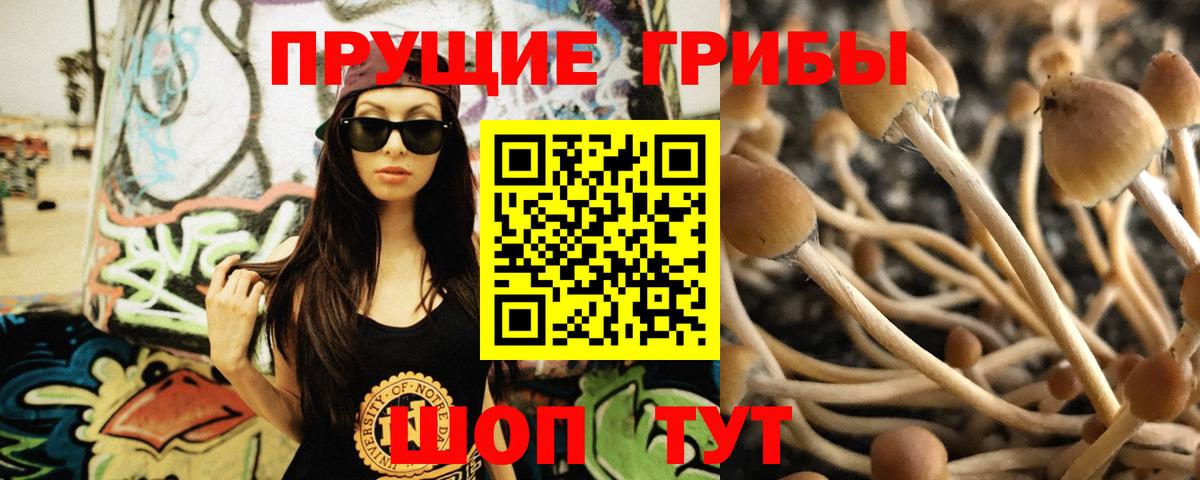 Псилоцибиновые грибы мухоморы Норильск
